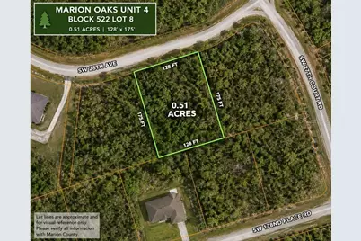 Tba SW 28th Avenue, Ocala, FL 34473 - Photo 1