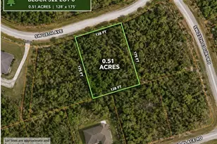 Tba SW 28th Ave, Ocala, FL 34473 - Photo 1