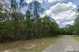 8747 N Malibu Rd, Citrus Springs, FL 34434 - Photo 1