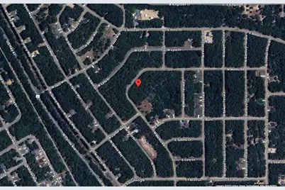 8747 N Malibu Road, Citrus Springs, FL 34434 - Photo 5