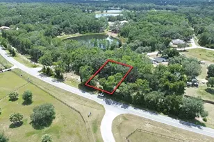 Tbd SE 180th Ave Rd, Ocklawaha, FL 32179 - Photo 1