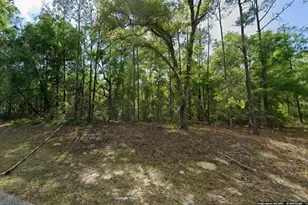 11286 N Schult Terrace, Dunnellon, FL 34434 - Photo 1