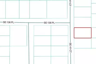 Tbd SE 41st Ct, Summerfield, FL 34491 - Photo 1