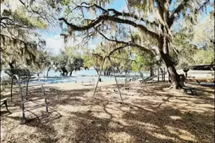 25333 NE 141st St, Fort Mc Coy, FL 32134 - Photo 27