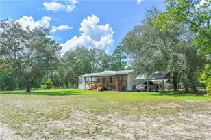 10851 NE 76 St, Bronson, FL 32621 - Photo 3