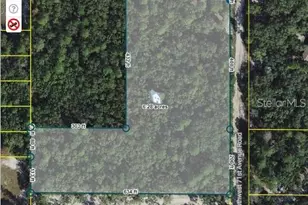 0 SW 146 Ln Rd, Ocala, FL 34473 - Photo 1
