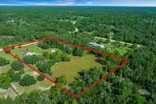 5791 SE 122 Ave, Morriston, FL 32668 - Photo 43