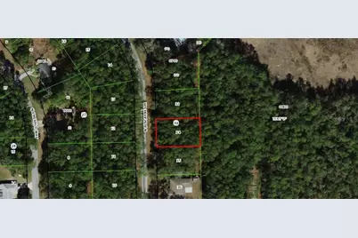 10061 N Biscayne Drive, Citrus Springs, FL 34434 - Photo 7