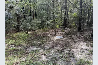 10061 N Biscayne Drive, Citrus Springs, FL 34434 - Photo 1