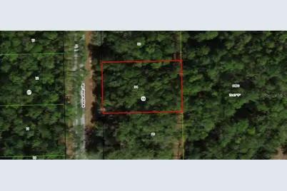 10061 N Biscayne Drive, Dunnellon, FL 34434 - Photo 3