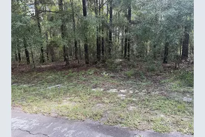 10061 N Biscayne Drive, Citrus Springs, FL 34434 - Photo 3