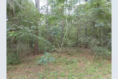 10061 N Biscayne Drive, Dunnellon, FL 34434 - Photo 1