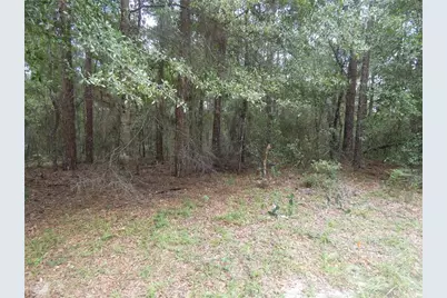 10075 N Biscayne Drive, Citrus Springs, FL 34434 - Photo 3