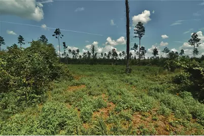 00 99th Lane, Live Oak, FL 32060 - Photo 37