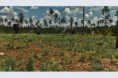 00 99th Lane, Live Oak, FL 32060 - Photo 29