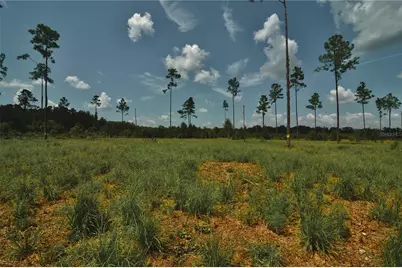 00 99th Lane, Live Oak, FL 32060 - Photo 13