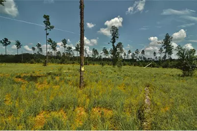 00 99th Lane, Live Oak, FL 32060 - Photo 19