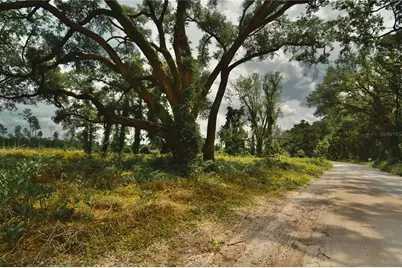 00 99th Lane, Live Oak, FL 32060 - Photo 11