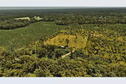 00 99th Lane, Live Oak, FL 32060 - Photo 33