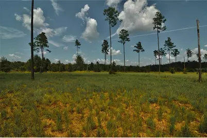 00 99th Lane, Live Oak, FL 32060 - Photo 5