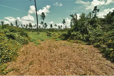 00 99th Lane, Live Oak, FL 32060 - Photo 25