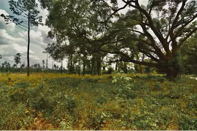 00 99th Lane, Live Oak, FL 32060 - Photo 17