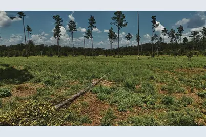 00 99th Lane, Live Oak, FL 32060 - Photo 27