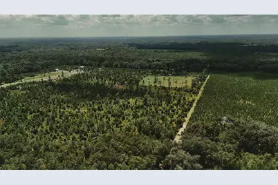 00 99th Lane, Live Oak, FL 32060 - Photo 47