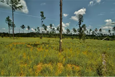 00 99th Lane, Live Oak, FL 32060 - Photo 9