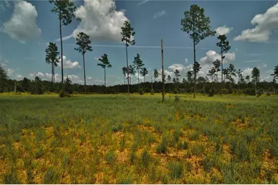 00 99th Lane, Live Oak, FL 32060 - Photo 23