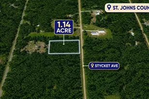 10515 Stycket Ave, Hastings, FL 32145 - Photo 1