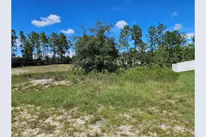 Tbd SW 85th Terrace, Ocala, FL 34473 - Photo 3
