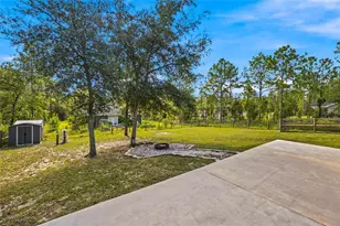 831 NE 150 Ave, Williston, FL 32696 - Photo 25