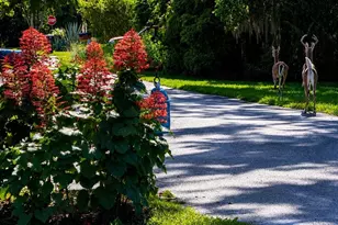 8421 W Scott Ct, Homosassa, FL 34448 - Photo 55