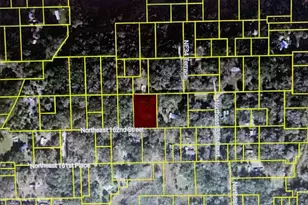Tbd NE 162nd St, Citra, FL 32113 - Photo 1