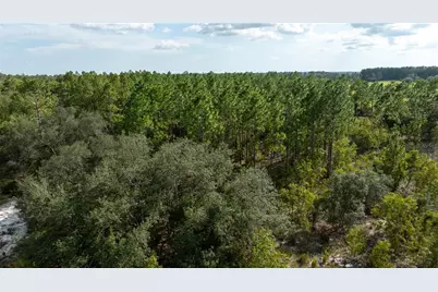 00 NE 49th Street, Williston, FL 32696 - Photo 3