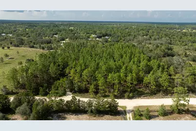 00 NE 49th Street, Williston, FL 32696 - Photo 7