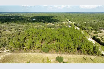 00 NE 49th Street, Williston, FL 32696 - Photo 13