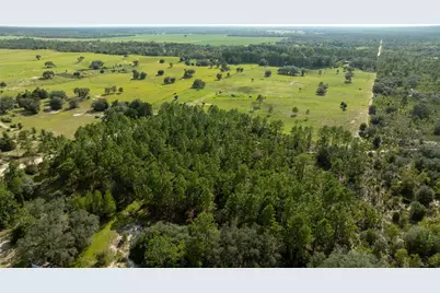00 NE 49th Street, Williston, FL 32696 - Photo 9
