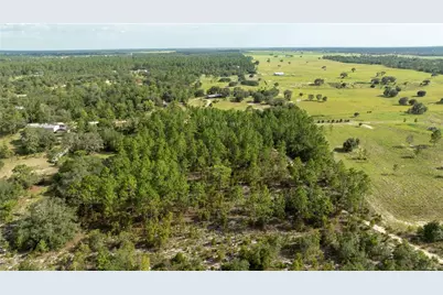 00 NE 49th Street, Williston, FL 32696 - Photo 11