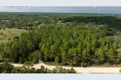 00 NE 49th Street, Williston, FL 32696 - Photo 5