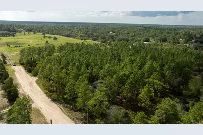 00 NE 49th Street, Williston, FL 32696 - Photo 15