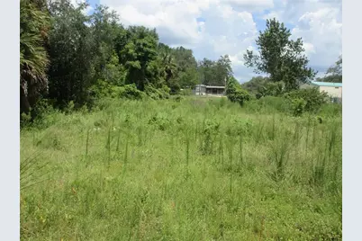 Tbd SE 19th Street, Silver Springs, FL 34488 - Photo 9