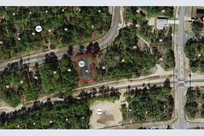 11351 N Kenney Loop, Citrus Springs, FL 34433 - Photo 3