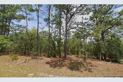 11351 N Kenney Loop, Citrus Springs, FL 34433 - Photo 1