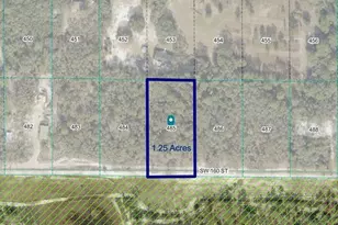 Tbd SW 160th St, Dunnellon, FL 34432 - Photo 1