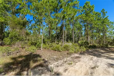 10686 N Statue Point, Dunnellon, FL 34433 - Photo 15