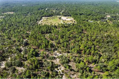 10686 N Statue Point, Dunnellon, FL 34433 - Photo 9
