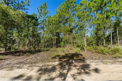 10686 N Statue Point, Dunnellon, FL 34433 - Photo 17