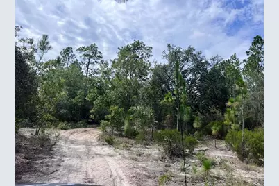 10686 N Statue Point, Dunnellon, FL 34433 - Photo 13